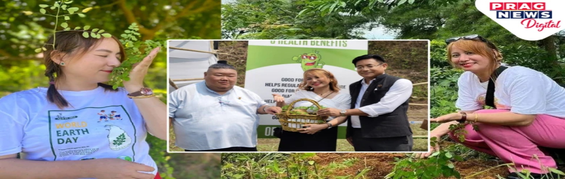 Meet the Nagaland Girl Who is Planting 1 Million Saplings Across Northeast India